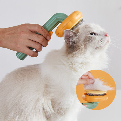 Lovely Cat Brush, Pet Pumpkin Brush, Pet Grooming