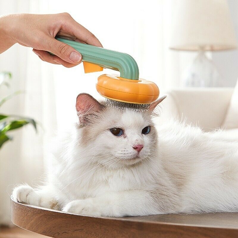 Lovely Cat Brush, Pet Pumpkin Brush, Pet Grooming