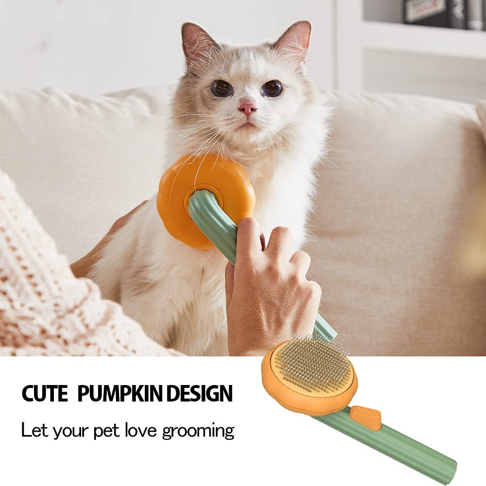 Lovely Cat Brush, Pet Pumpkin Brush, Pet Grooming