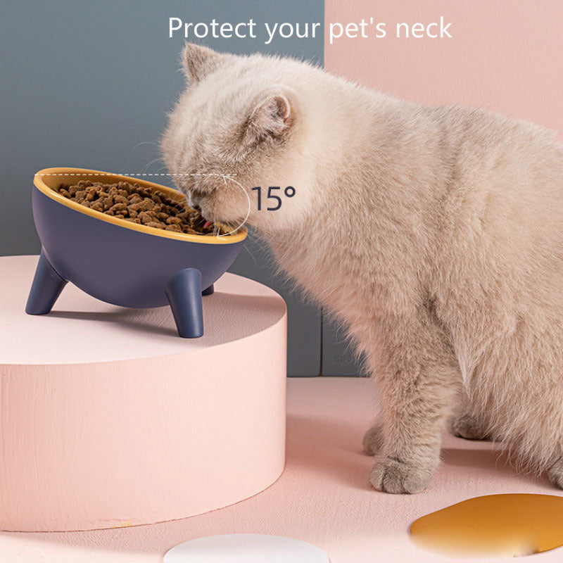 Cat Dog Bowl With Stand Pet Feeding, Nordic Color Feeder, Pet Accessories